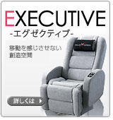 Хʡ:EXECUTIVE-ƥ-ܤϤ