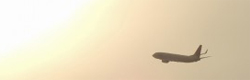 Ҷ
