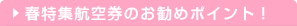 格安航空券のおすすめポイント!