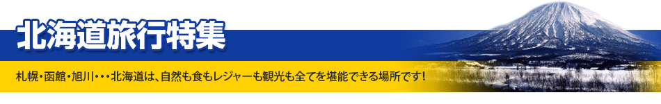 ̳ƻιý - ڡȡۡ̳ƻϡ⿩쥸㡼ѸƤǽǤǤ